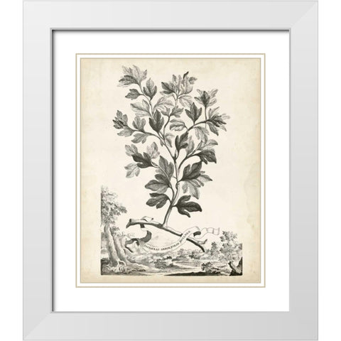 Scenic Botanical V White Modern Wood Framed Art Print with Double Matting by Munting, Abraham