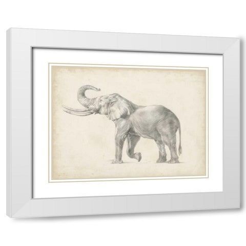 Elephant Sketch I White Modern Wood Framed Art Print with Double Matting by Harper, Ethan