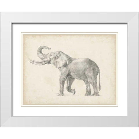 Elephant Sketch I White Modern Wood Framed Art Print with Double Matting by Harper, Ethan