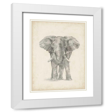 Elephant Sketch II White Modern Wood Framed Art Print with Double Matting by Harper, Ethan