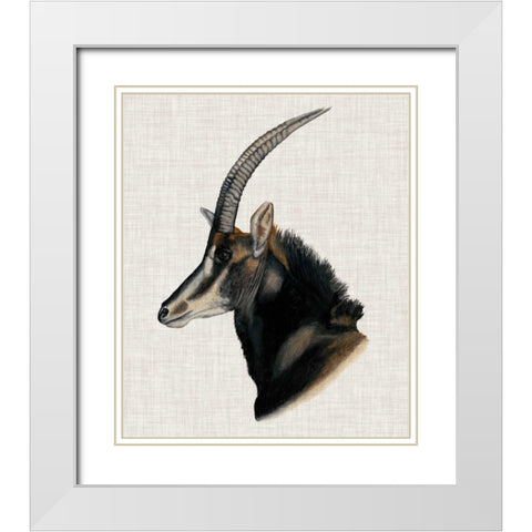 Savanna Impressions III White Modern Wood Framed Art Print with Double Matting by McCavitt, Naomi