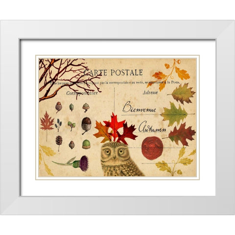 Collected Autumn V White Modern Wood Framed Art Print with Double Matting by Lloyd, Sandy