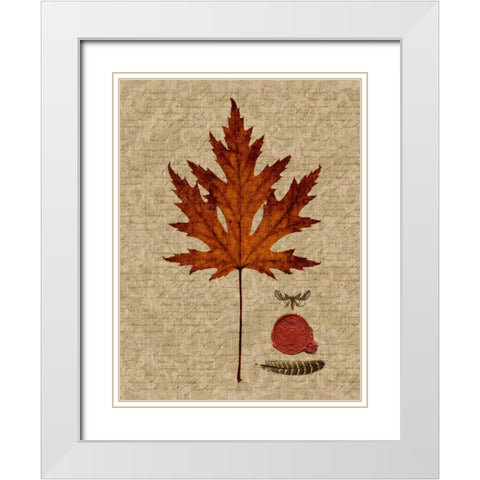 Autumn Leaf I White Modern Wood Framed Art Print with Double Matting by Lloyd, Sandy