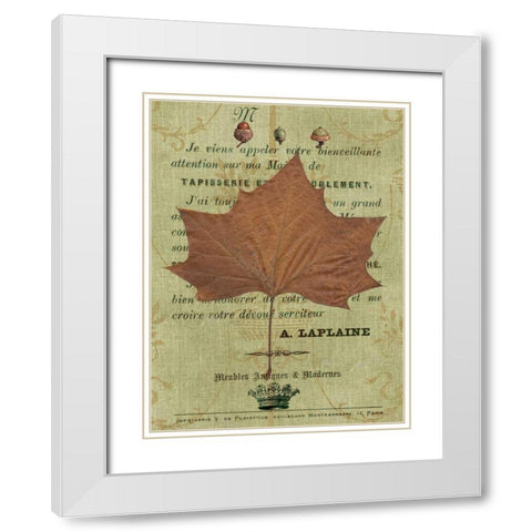 Autumn Leaf II White Modern Wood Framed Art Print with Double Matting by Lloyd, Sandy