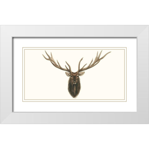 Elk Bust White Modern Wood Framed Art Print with Double Matting by Popp, Grace