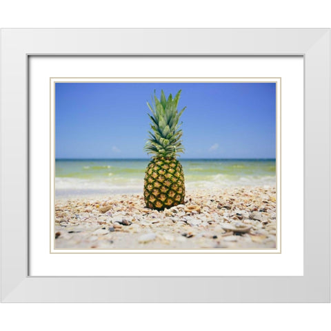 South Florida Pineapple II White Modern Wood Framed Art Print with Double Matting by Mead, Adam
