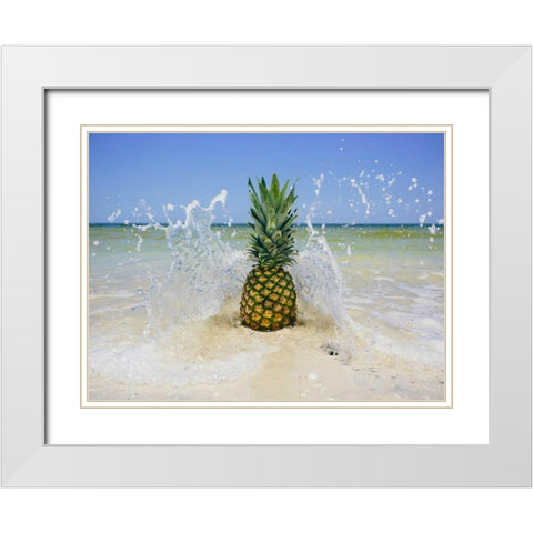 South Florida Pineapple III White Modern Wood Framed Art Print with Double Matting by Mead, Adam