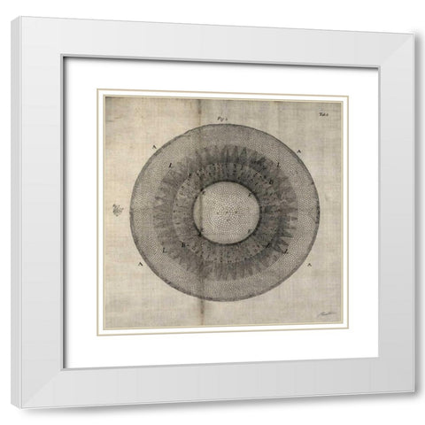 Cross Cut II White Modern Wood Framed Art Print with Double Matting by Butler, John