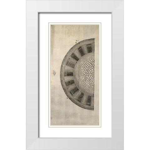 Cross Cut I Left White Modern Wood Framed Art Print with Double Matting by Butler, John
