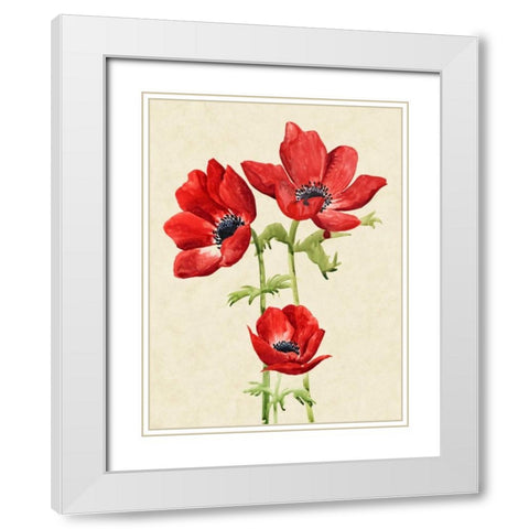Heirloom Anemones I White Modern Wood Framed Art Print with Double Matting by Popp, Grace