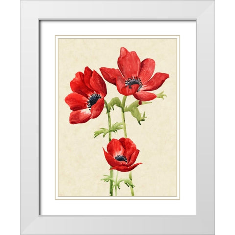 Heirloom Anemones I White Modern Wood Framed Art Print with Double Matting by Popp, Grace