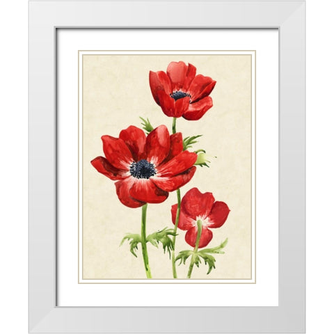 Heirloom Anemones II White Modern Wood Framed Art Print with Double Matting by Popp, Grace