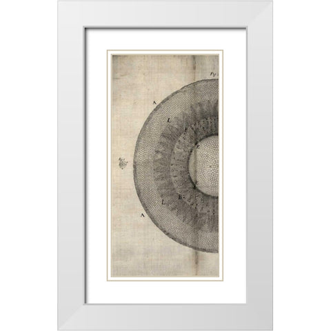 Cross Cut II Left White Modern Wood Framed Art Print with Double Matting by Butler, John