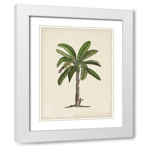 British Palms II White Modern Wood Framed Art Print with Double Matting by McCavitt, Naomi