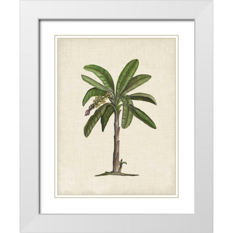 British Palms II White Modern Wood Framed Art Print with Double Matting by McCavitt, Naomi
