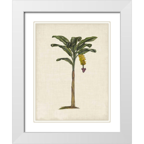 British Palms III White Modern Wood Framed Art Print with Double Matting by McCavitt, Naomi