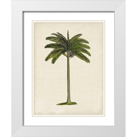 British Palms IV White Modern Wood Framed Art Print with Double Matting by McCavitt, Naomi