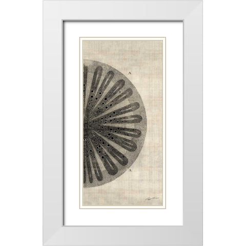 Cross Cut III Right White Modern Wood Framed Art Print with Double Matting by Butler, John