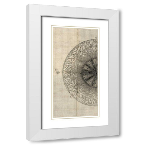 Cross Cut IV Left White Modern Wood Framed Art Print with Double Matting by Butler, John