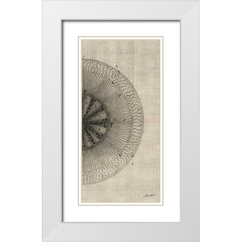Cross Cut IV Right White Modern Wood Framed Art Print with Double Matting by Butler, John