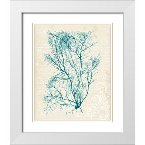 Teal Seaweed II White Modern Wood Framed Art Print with Double Matting by Popp, Grace