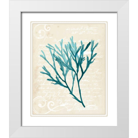 Teal Seaweed III White Modern Wood Framed Art Print with Double Matting by Popp, Grace
