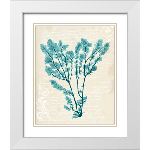 Teal Seaweed V White Modern Wood Framed Art Print with Double Matting by Popp, Grace