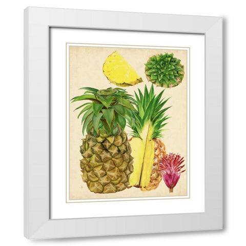 Tropical Pineapple Study I White Modern Wood Framed Art Print with Double Matting by Wang, Melissa