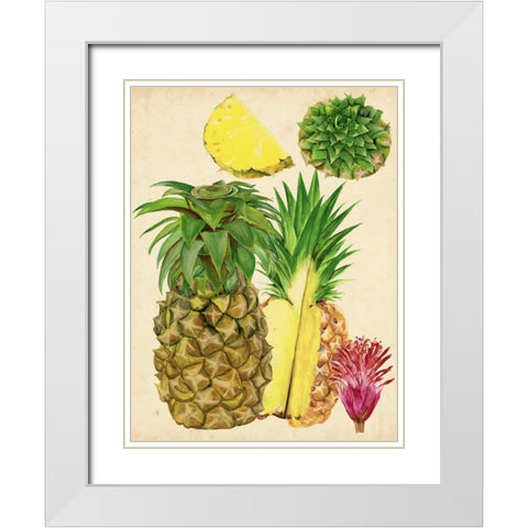 Tropical Pineapple Study I White Modern Wood Framed Art Print with Double Matting by Wang, Melissa