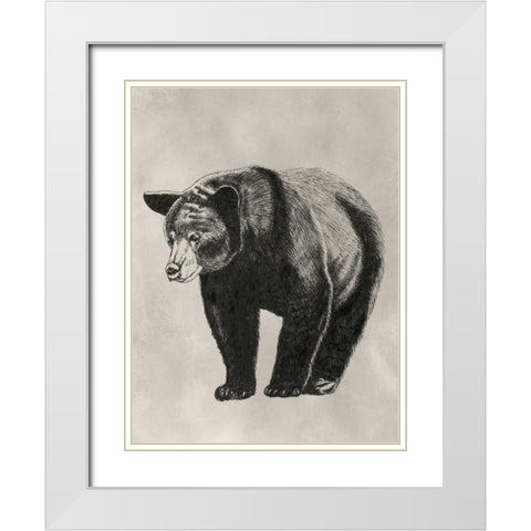 Pen and Ink Bear II White Modern Wood Framed Art Print with Double Matting by McCavitt, Naomi