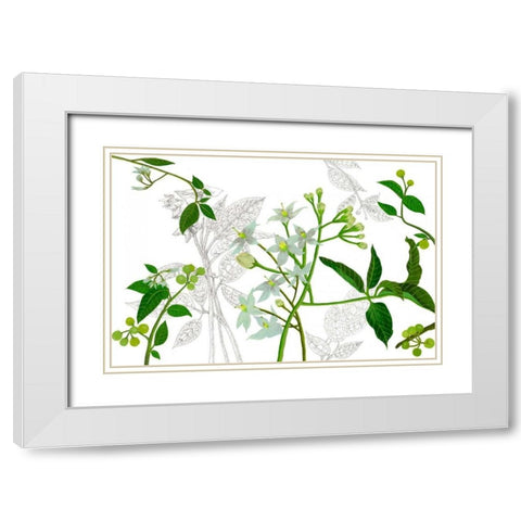 Solanum I White Modern Wood Framed Art Print with Double Matting by Wang, Melissa