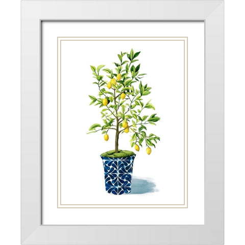 Fruit Tree II White Modern Wood Framed Art Print with Double Matting by Popp, Grace