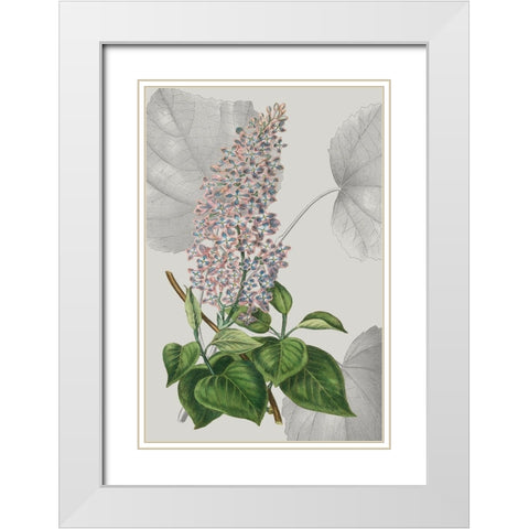 Botanical Arrangement IV White Modern Wood Framed Art Print with Double Matting by Vision Studio