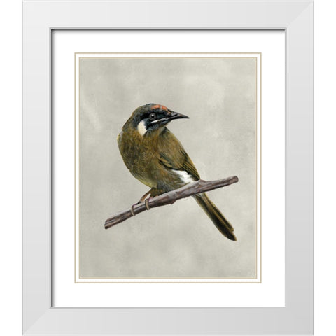 Winged Beauty III White Modern Wood Framed Art Print with Double Matting by McCavitt, Naomi