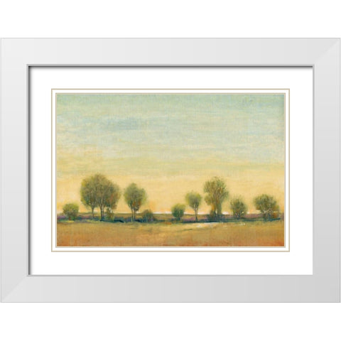 Morning Sun I White Modern Wood Framed Art Print with Double Matting by OToole, Tim