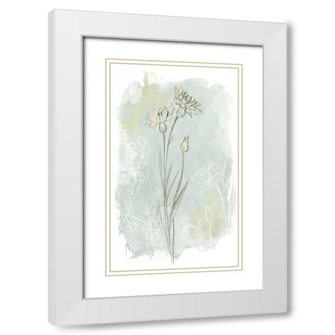 Stone Flower Study I White Modern Wood Framed Art Print with Double Matting by Vess, June Erica