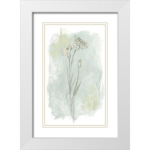 Stone Flower Study I White Modern Wood Framed Art Print with Double Matting by Vess, June Erica
