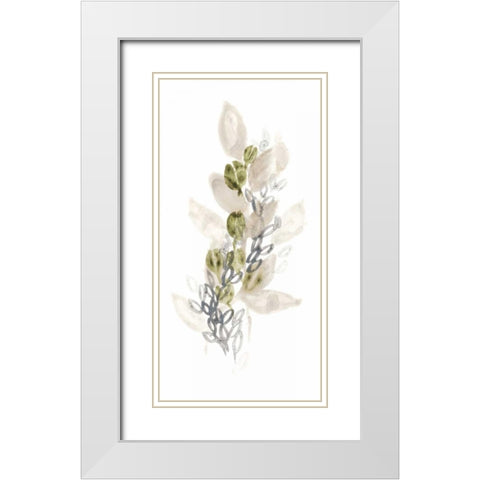 Botanica Whimsy III White Modern Wood Framed Art Print with Double Matting by Vess, June Erica