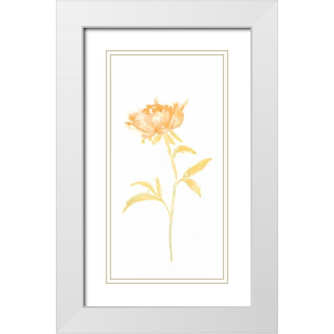 Bouquet Blush II White Modern Wood Framed Art Print with Double Matting by Vess, June Erica