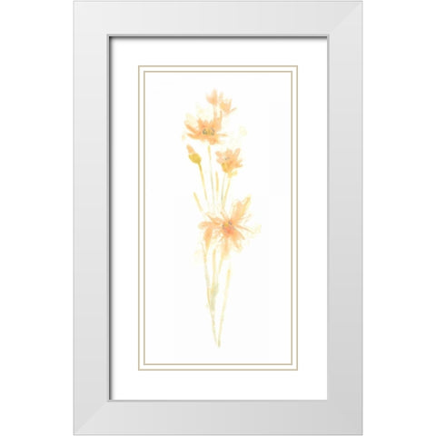 Bouquet Blush III White Modern Wood Framed Art Print with Double Matting by Vess, June Erica