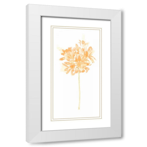 Bouquet Blush VI White Modern Wood Framed Art Print with Double Matting by Vess, June Erica