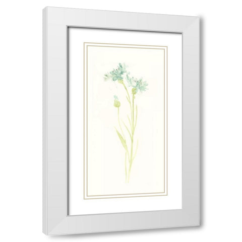 Cornflower Study I White Modern Wood Framed Art Print with Double Matting by Vess, June Erica