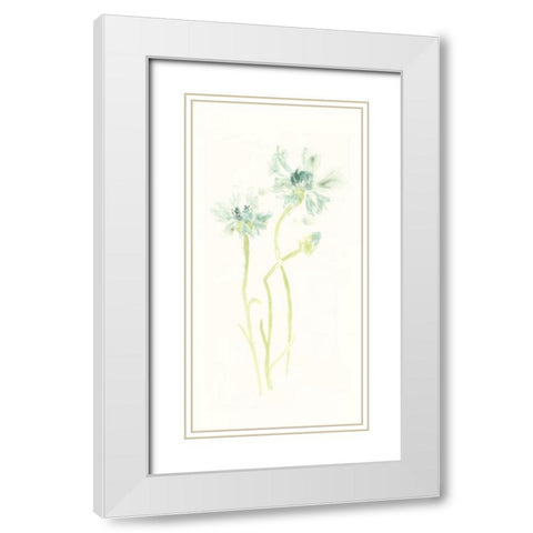 Cornflower Study II White Modern Wood Framed Art Print with Double Matting by Vess, June Erica