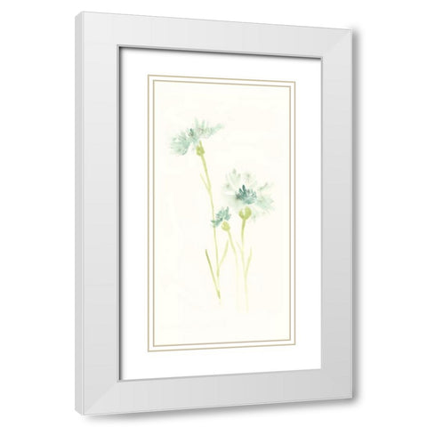 Cornflower Study III White Modern Wood Framed Art Print with Double Matting by Vess, June Erica