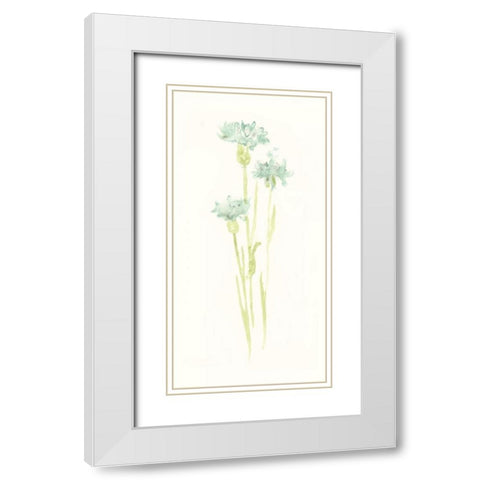 Cornflower Study IV White Modern Wood Framed Art Print with Double Matting by Vess, June Erica