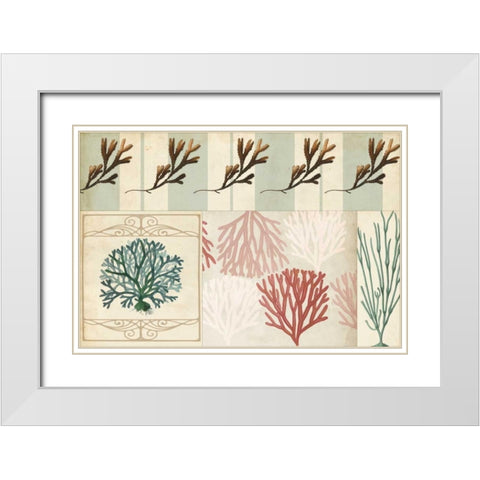 Coastal Patternbook I White Modern Wood Framed Art Print with Double Matting by Vision Studio