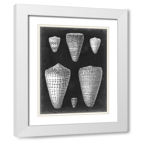 Alabaster Shells I White Modern Wood Framed Art Print with Double Matting by Vision Studio