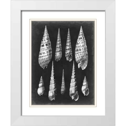 Alabaster Shells II White Modern Wood Framed Art Print with Double Matting by Vision Studio