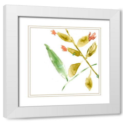 Tropical Display VIII White Modern Wood Framed Art Print with Double Matting by Goldberger, Jennifer