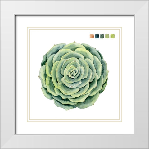 Succulent Swatches IV White Modern Wood Framed Art Print with Double Matting by Popp, Grace